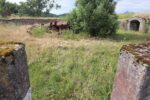 hkb_32-973_tjelneset_2023_066