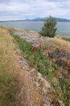 hkb_32-973_tjelneset_2023_068