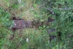 hkb_32-973_tjelneset_2023_091