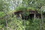 hkb_32-973_tjelneset_2023_092