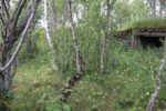 hkb_32-973_tjelneset_2023_095