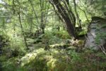 hkb_32-974_broennoeysund-nord_2016_065