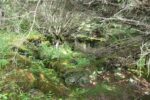 hkb_32-974_broennoeysund-nord_2016_067