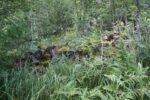hkb_32-974_broennoeysund-nord_2016_077