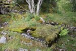 hkb_32-974_broennoeysund-nord_2016_078
