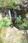 hkb_32-974_broennoeysund-nord_2016_087