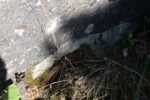 hkb_32-979_grimstad_2025_016