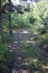 hkb_32-979_grimstad_2025_017