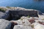 hkb_32-979_grimstad_2025_024