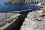 hkb_32-979_grimstad_2025_025