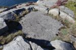 hkb_32-979_grimstad_2025_027