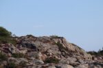 hkb_32-979_grimstad_2025_029