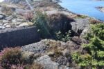 hkb_32-979_grimstad_2025_032