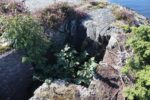 hkb_32-979_grimstad_2025_038