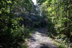 hkb_32-979_grimstad_2025_048