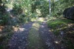 hkb_32-979_grimstad_2025_057