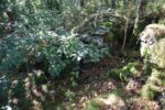 hkb_32-979_grimstad_2025_058