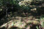 hkb_32-979_grimstad_2025_059