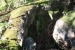 hkb_32-979_grimstad_2025_061