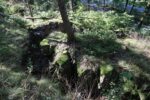 hkb_32-979_grimstad_2025_062