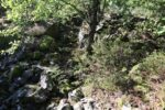 hkb_32-979_grimstad_2025_068