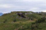 hkb_33-971_kaagsund_2023_061