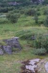 hkb_33-971_kaagsund_2023_108
