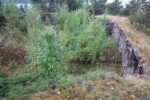 hkb_33-973_oeyjordneset_2023_006