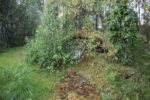 hkb_33-973_oeyjordneset_2023_009
