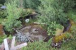 hkb_33-973_oeyjordneset_2023_044