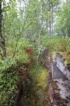 hkb_33-973_oeyjordneset_2023_050
