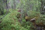 hkb_33-973_oeyjordneset_2023_052