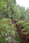 hkb_33-973_oeyjordneset_2023_065