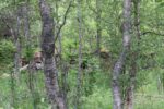 hkb_33-973_oeyjordneset_2023_067