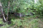 hkb_33-976_hessen_2023_022