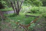 hkb_33-976_hessen_2023_043