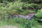 hkb_33-976_hessen_2023_060