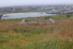 hkb_34-971_hasvik_2023_003