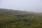 hkb_34-971_hasvik_2023_007