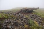 hkb_34-971_hasvik_2023_031