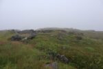hkb_34-971_hasvik_2023_076