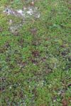 hkb_34-971_hasvik_2023_118