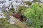 hkb_34-976_kvitnes_2023_031