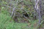 hkb_35-973_saltvikneset_2023_040