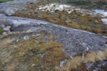 hkb_35-973_saltvikneset_2023_102