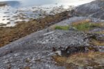 hkb_35-973_saltvikneset_2023_103