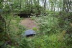hkb_35-976_birkenes_2023_007