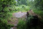 hkb_35-976_birkenes_2023_025