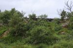 hkb_36-971_ramsberg_2023_001