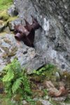 hkb_36-971_ramsberg_2023_031